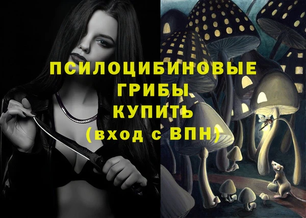 синтетический гашиш Богородск