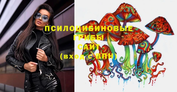 синтетический гашиш Богородск